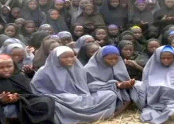 Clark calls for special taskforce for release of Chibok girls