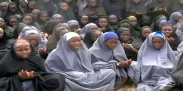 Clark calls for special taskforce for release of Chibok girls
