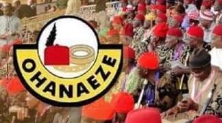 Ohaneze Will Continue To Protect Igbo Interests -Iwuanyanwu