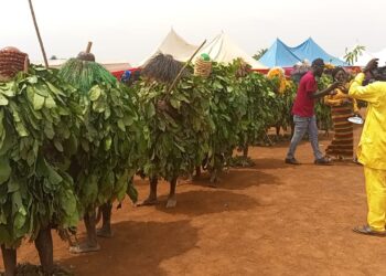 Six years after, Kaduna community revived cultural festival to promote national integration