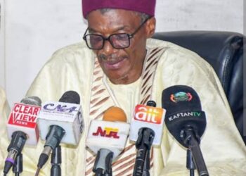 NEF Condemns Attacks on Northerners in Southern Nigeria