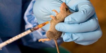 Lassa Fever outbreak at Army Hospital sparks response