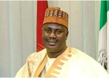 FG to revamp feed, fodder sector to address livestock feed shortages