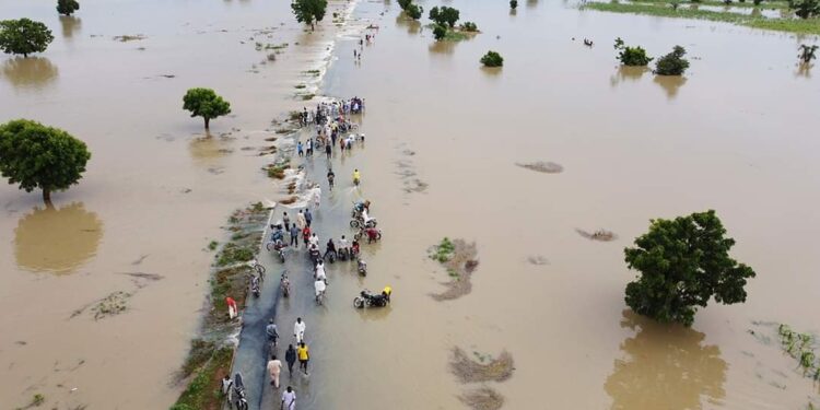 Rain: FEMA advises people residing along waterways to relocate Warning