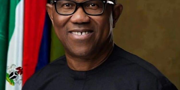 Arewa Youth Consultative Forum Affirms INEC’s Credibility Following Peter Obi’s Comments