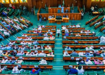 Reps seek free medicare for pregnant women