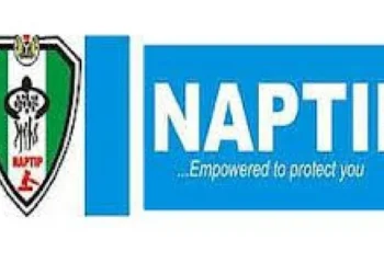 NAPTIP decries recent surge in baby factories across Nigeria