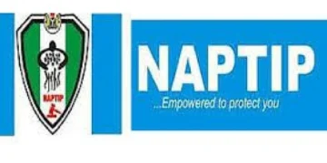 NAPTIP decries recent surge in baby factories across Nigeria