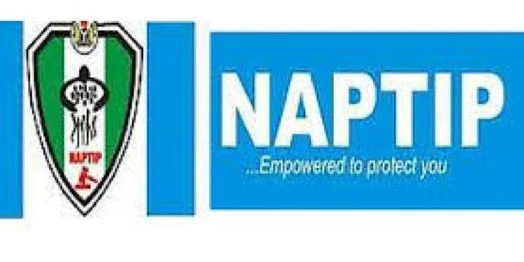 NAPTIP decries recent surge in baby factories across Nigeria