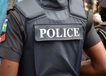 Man docked for allegedly stealing she-goat, motorcycle from police barracks