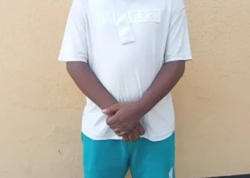 Police arrest suspect for allegedly defrauding Thai citizen of $216,000, N30m