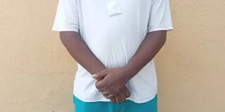 Police arrest suspect for allegedly defrauding Thai citizen of $216,000, N30m