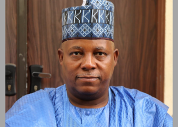 SMMSEs should not be neglected, says Shettima