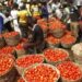 Nigerians groan over high tomato prices as one big basket costs N100,000