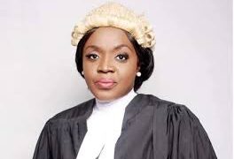 Human Rights Protection & Democracy In Nigeria: kaduna  State In Perspective 