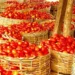 Tomato farmers assoc. blames price hike on infestation