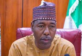 Borno govt, World Bank train 100 livestock extension agents
