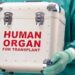 Organ Harvesting Hearing: The Other Narrative of Nigerian Media