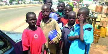 Kano varsity set to tackle out-of-school children challenge