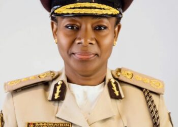 NIS to unveils user-friendly e-visa channel