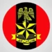 Army debunks alleged mass killing in SE