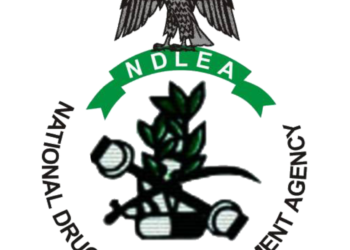 NDLEA Arrests 149, Seizes 1.49 Tons of Illicit Drugs in Kogi