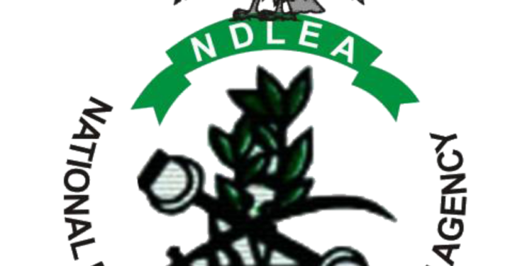 NDLEA Arrests 149, Seizes 1.49 Tons of Illicit Drugs in Kogi
