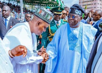 Tinubu Praised for Championing Local Government Autonomy