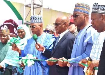 Wike, one of best appointees of current administration  – Tinubu
