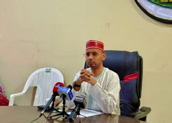 Kano govt to plant 3m trees to tackle climate change