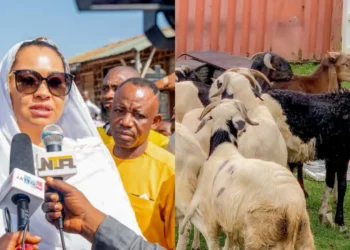 Sallah: Sen. Natasha distributes rams to constituents