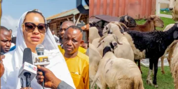 Sallah: Sen. Natasha distributes rams to constituents