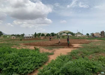 FCT farming community begs Wike for access road, basic amenities