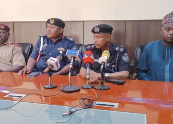 Police promise hitch-free council election in Yobe