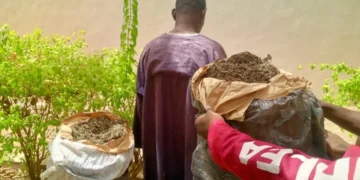 NDLEA arrests 65-yr-old for allegedly dealing in illicit drugs