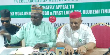 Appoints Dr. Adenike Tejuosho as Humanitarian Minister — PWD  Begs  Tinubu