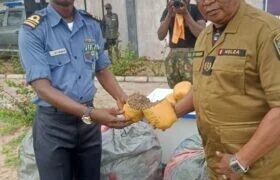 Navy hands over seized cannabis to NDLEA in Badagry
