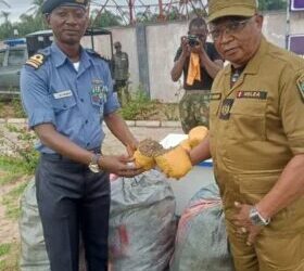 Navy hands over seized cannabis to NDLEA in Badagry