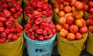 Abuja traders decry rising food prices, seek government’s intervention