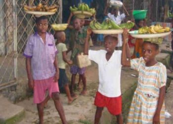 Find solution to out-of-school children crisis—Expert tells govts