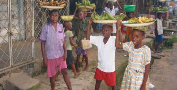 Find solution to out-of-school children crisis—Expert tells govts
