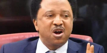 Autonomy only way to save LGs from paralysis— Shehu Sani