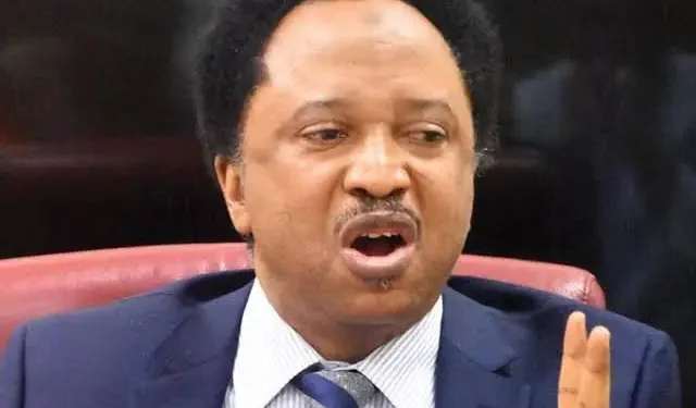 Autonomy only way to save LGs from paralysis— Shehu Sani