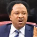 Autonomy only way to save LGs from paralysis— Shehu Sani