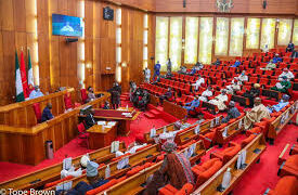 Nigerian Senate Achieves Impressive Legislative Milestones In One Year – Leader