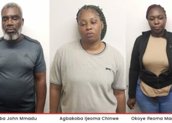 NDLEA Busts Major Cocaine Syndicate, Arrests Notable Figures in Lagos