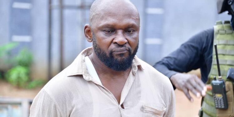 NDLEA Arrests Wanted Drug Baron, Recovers Meth, Guns, Precursors