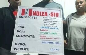 NDLEA arrests couple, recovers N2.1b drug worth in Lagos