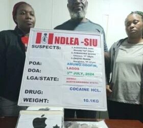 NDLEA arrests couple, recovers N2.1b drug worth in Lagos