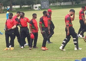 Cricket: Nigeria Level Series, Beat Kenya By 14 Runs
